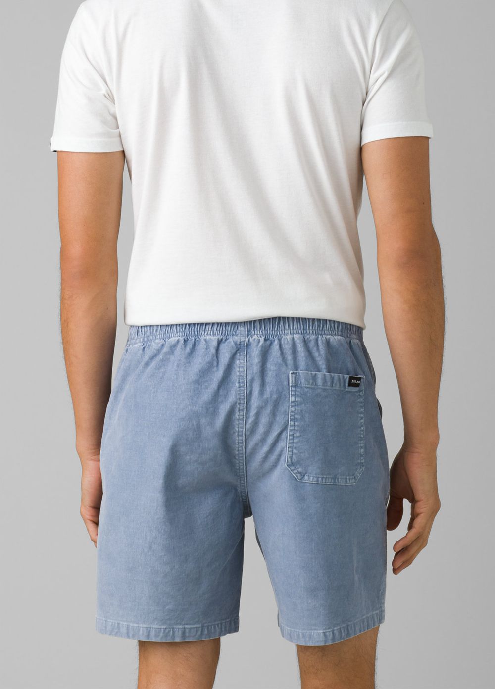 Blue Men's PrAna Canyon Camp Shorts | MFWYSC874