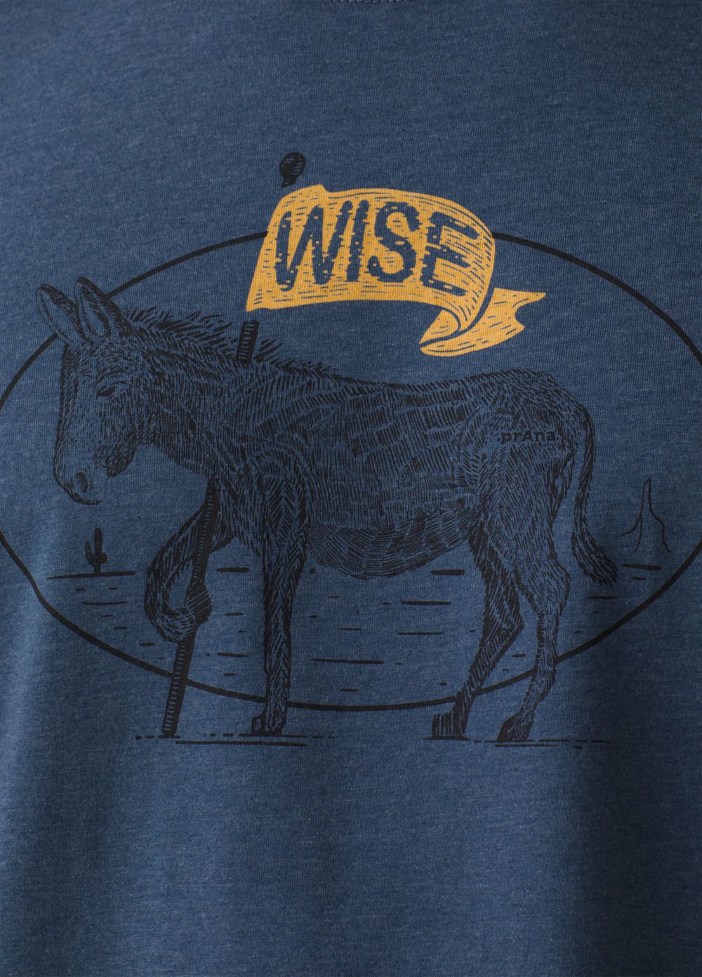 Blue Men's PrAna Wise Ass Journeyman 2 T-Shirts | RCUWPV738