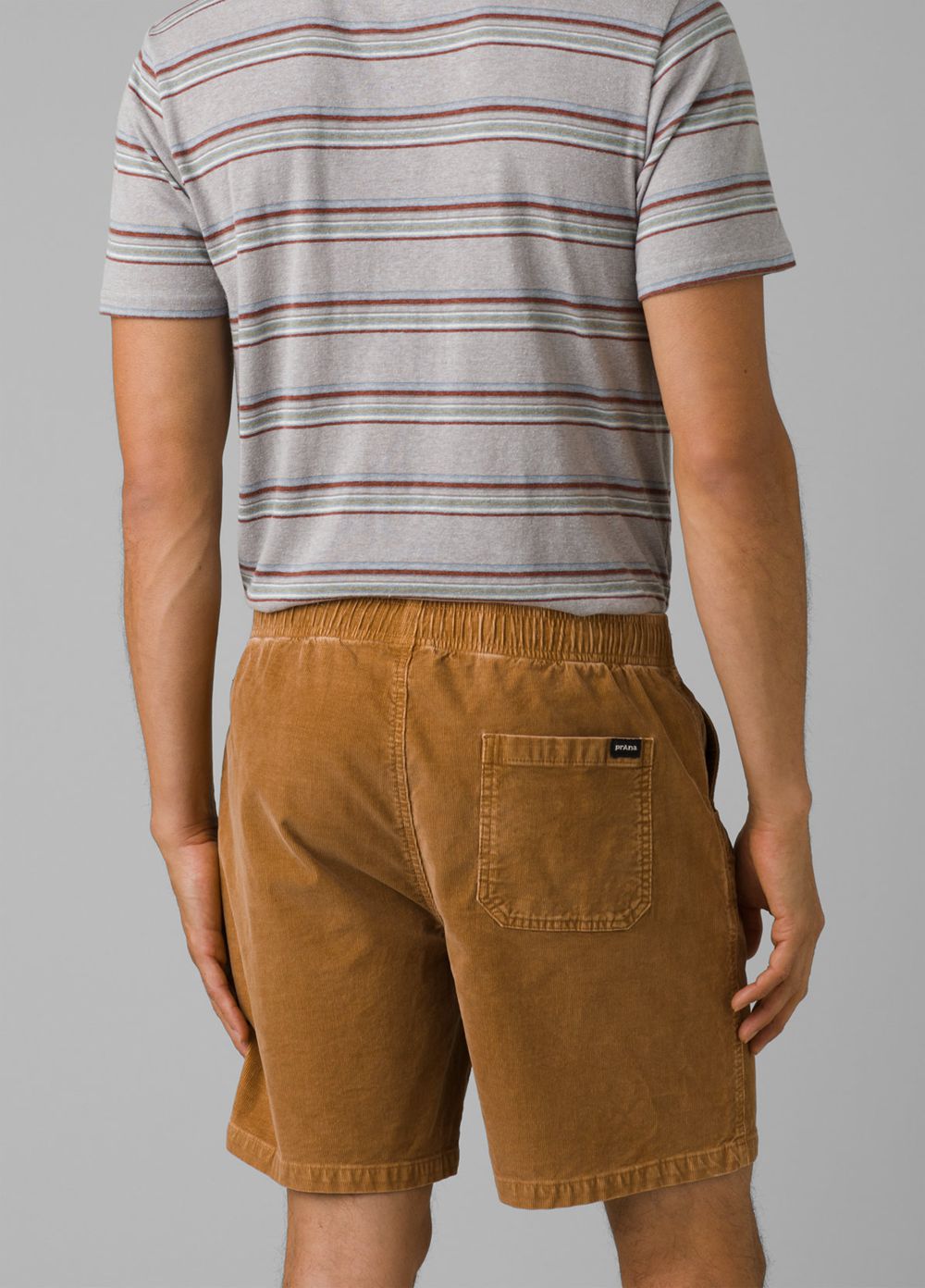 Brown Men's PrAna Canyon Camp Shorts | QAGFBU184