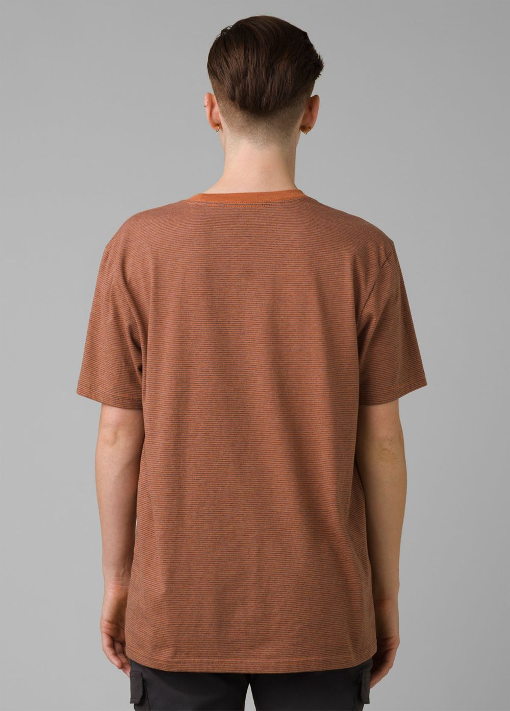 Brown Men's PrAna Crew Tall T-Shirts | UGJVST273