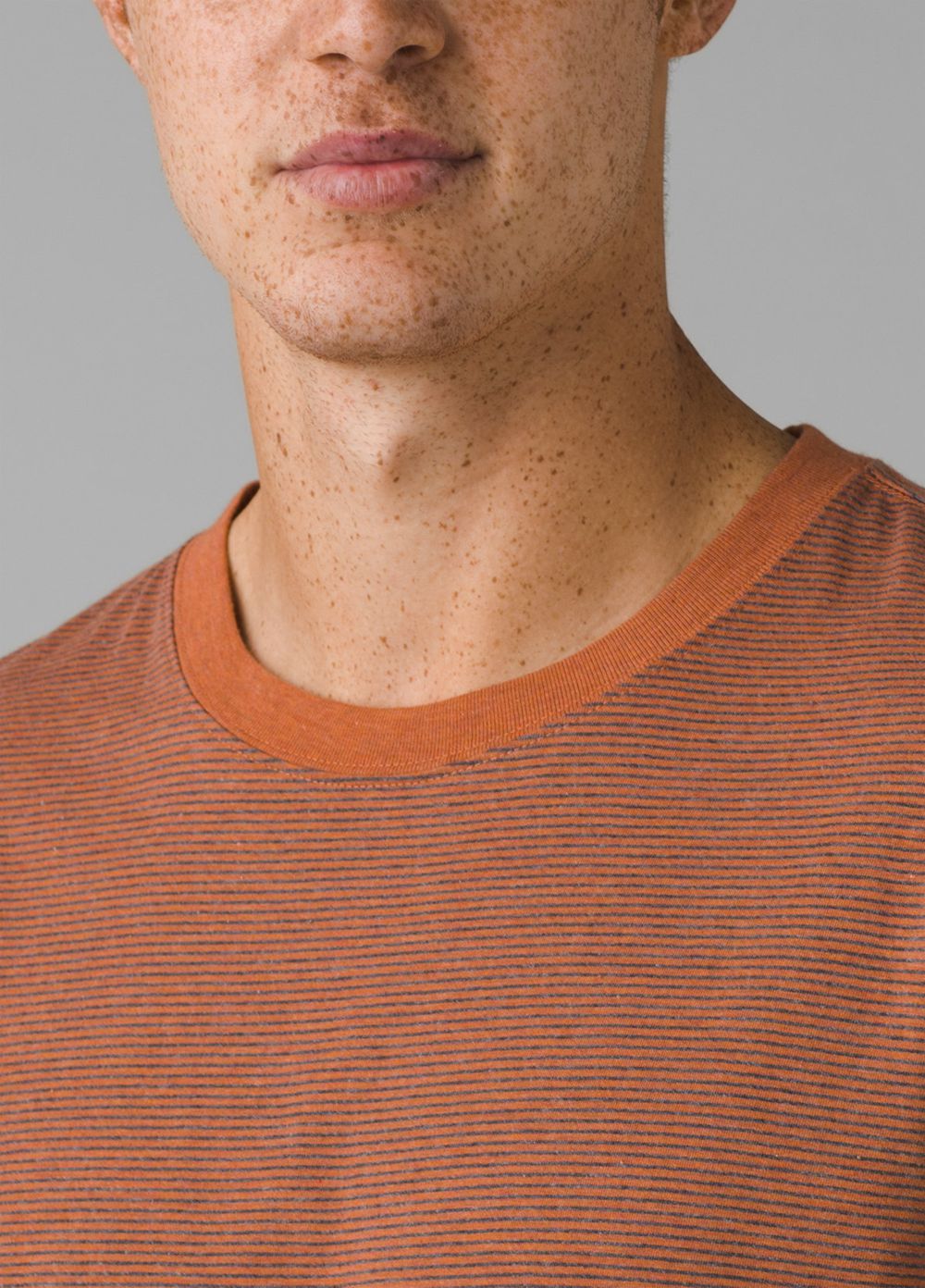 Brown Men's PrAna Crew Tall T-Shirts | UGJVST273