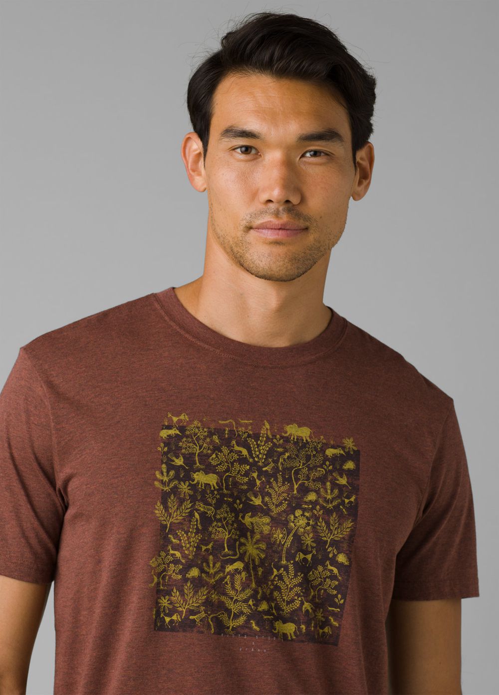 Brown Men's PrAna Roots Studio Graphic T-Shirts | DHFRQB269