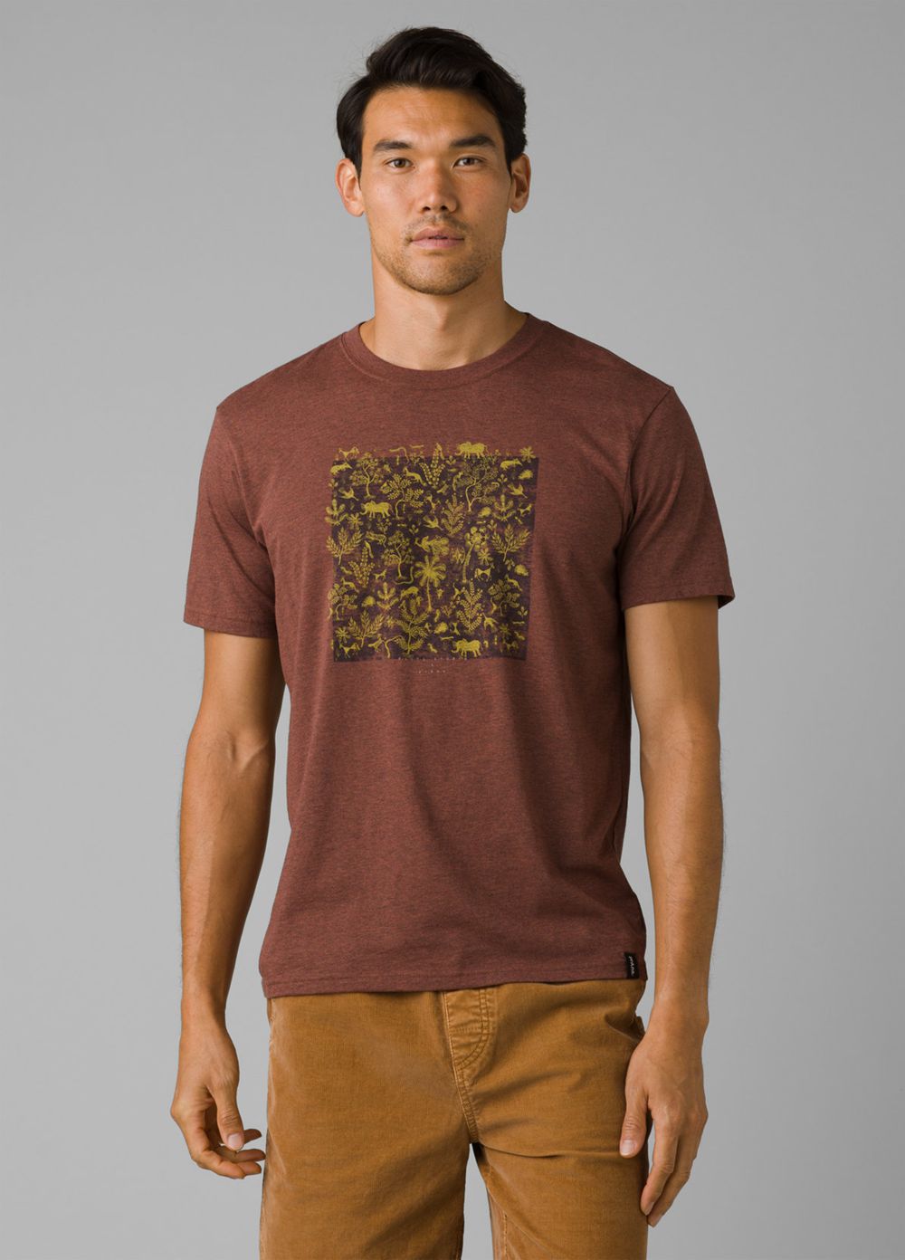 Brown Men\'s PrAna Roots Studio Graphic T-Shirts | DHFRQB269