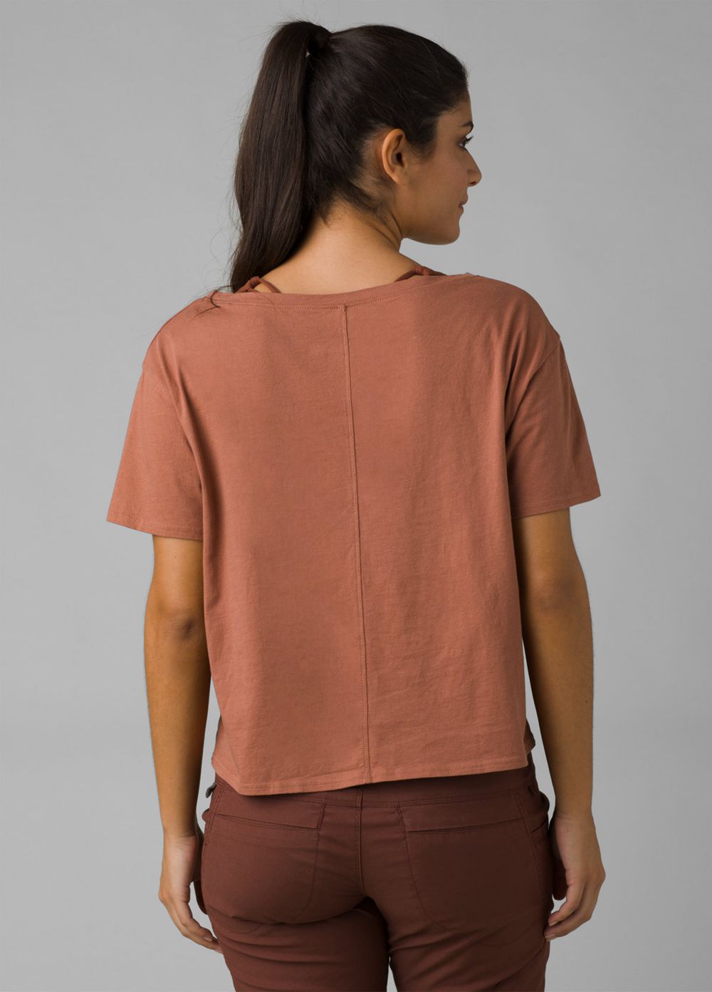 Brown Women's PrAna Journeyman 2.0 T-Shirts | CIUNEA967