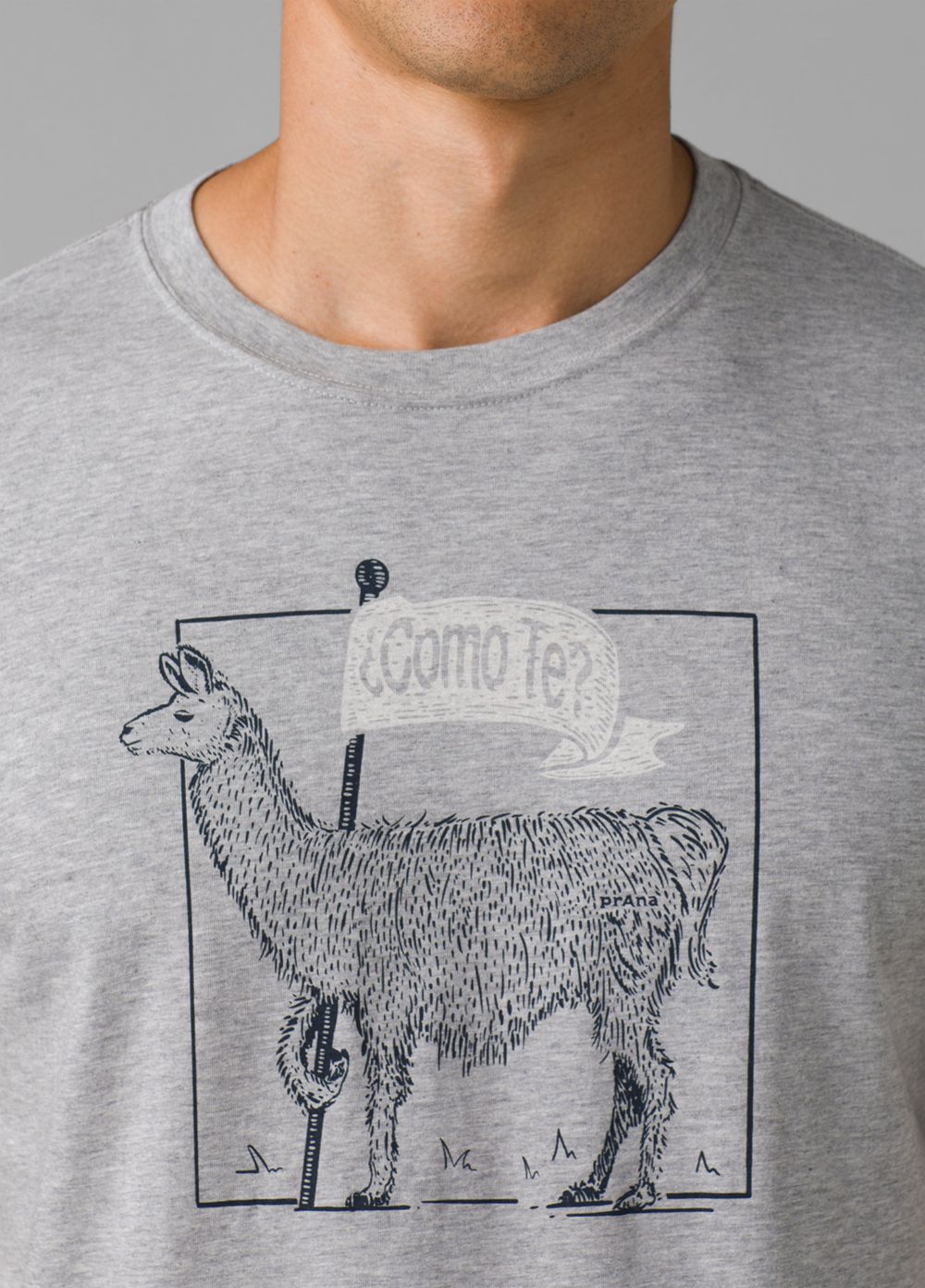 Grey Men's PrAna Como Te Llama Journeyman 2 T-Shirts | CBKMEU482