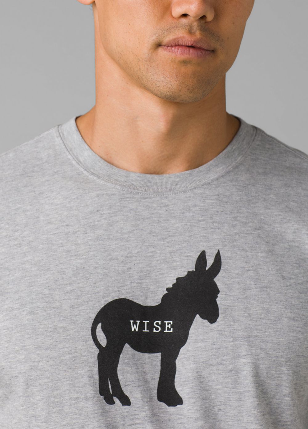 Grey Men's PrAna Wise Ass Journeyman T-Shirts | GQPAYI618