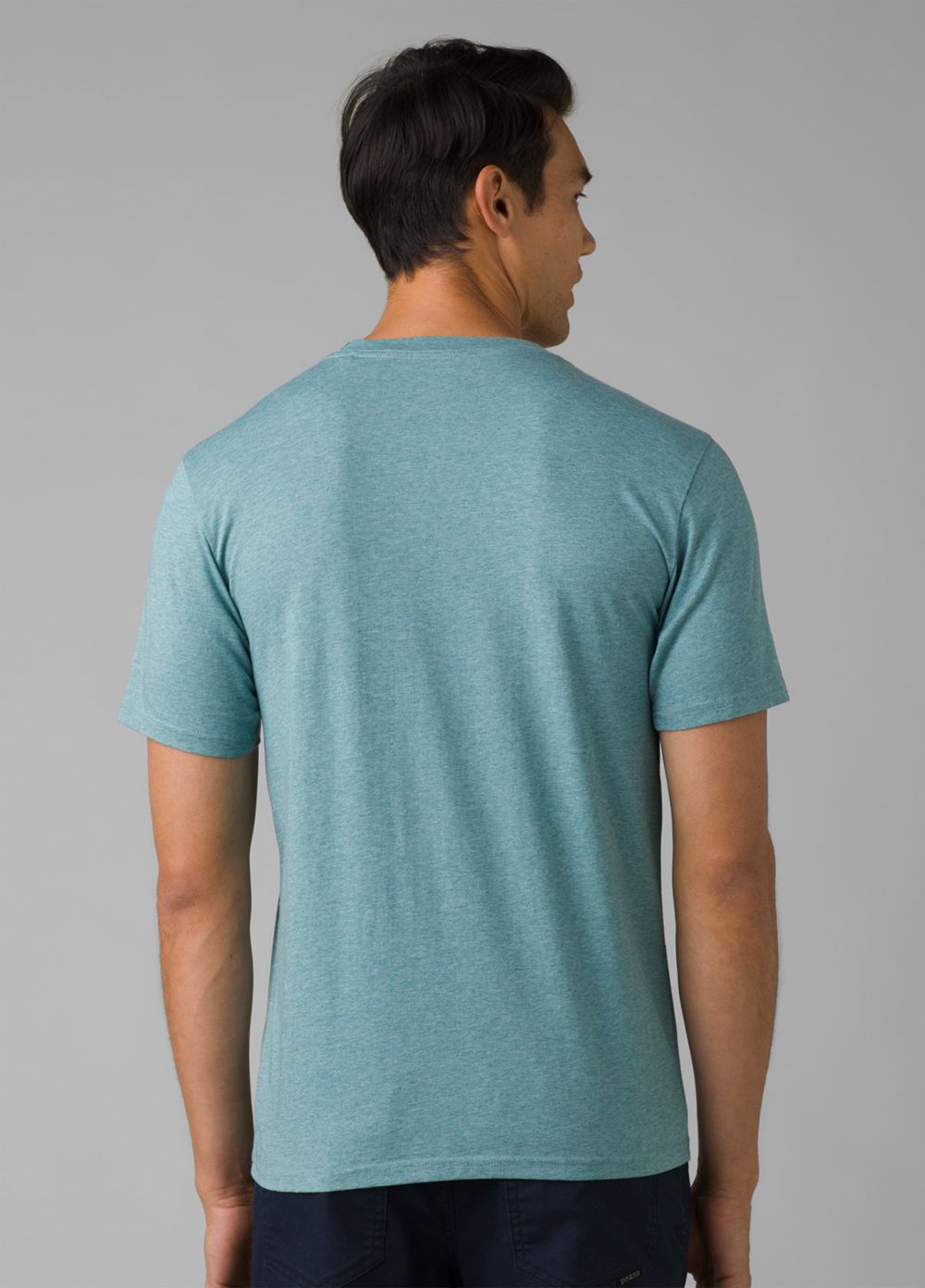 Turquoise Men's PrAna Bear Squeeze Journeyman T-Shirts | FTJXSN831