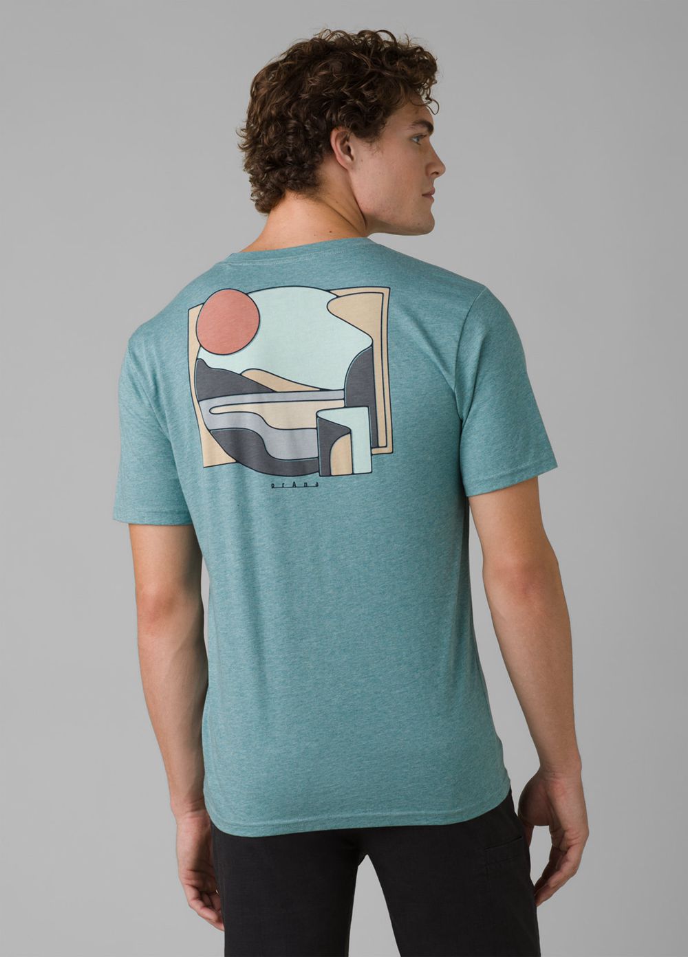 Turquoise Men's PrAna Torreys Peak T-Shirts | MZEFSQ358