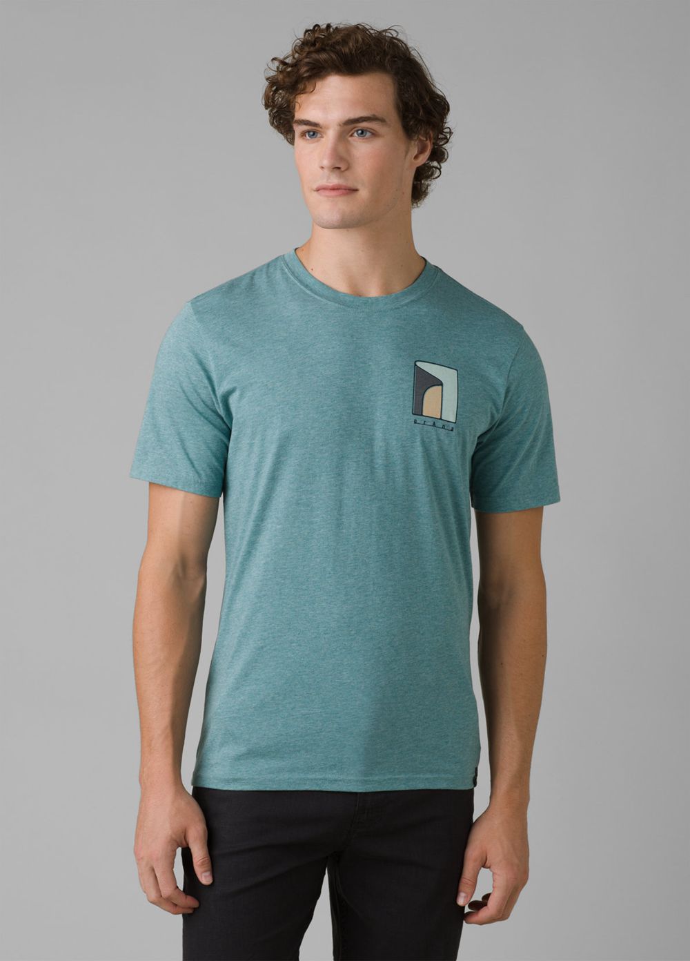 Turquoise Men\'s PrAna Torreys Peak T-Shirts | MZEFSQ358