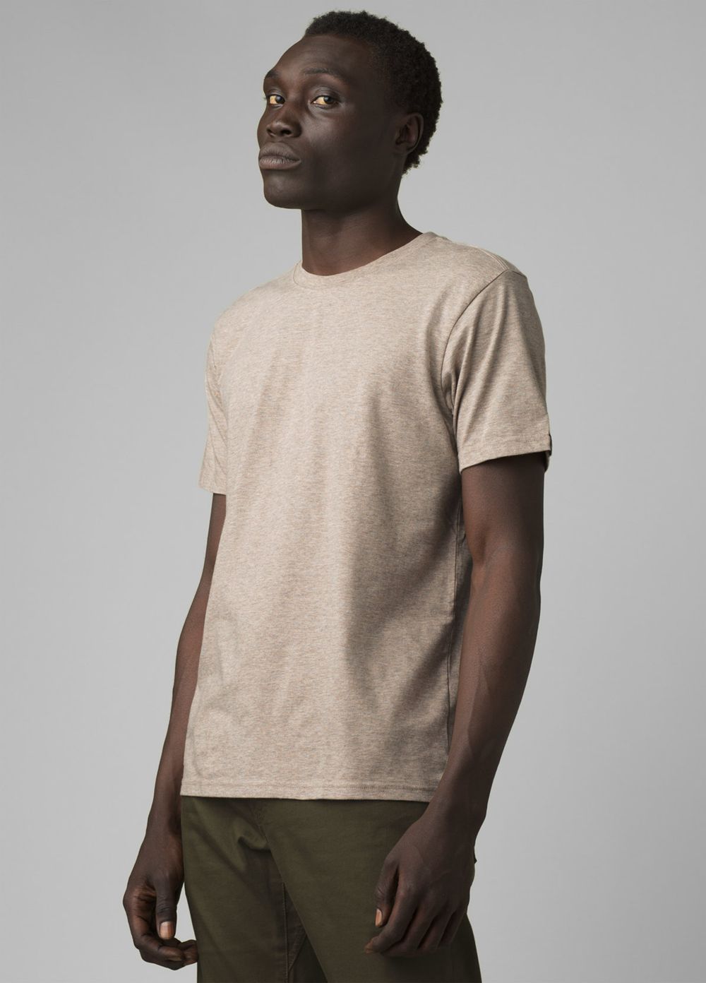 Beige Men's PrAna Crew Tall T-Shirts | FASTHX230