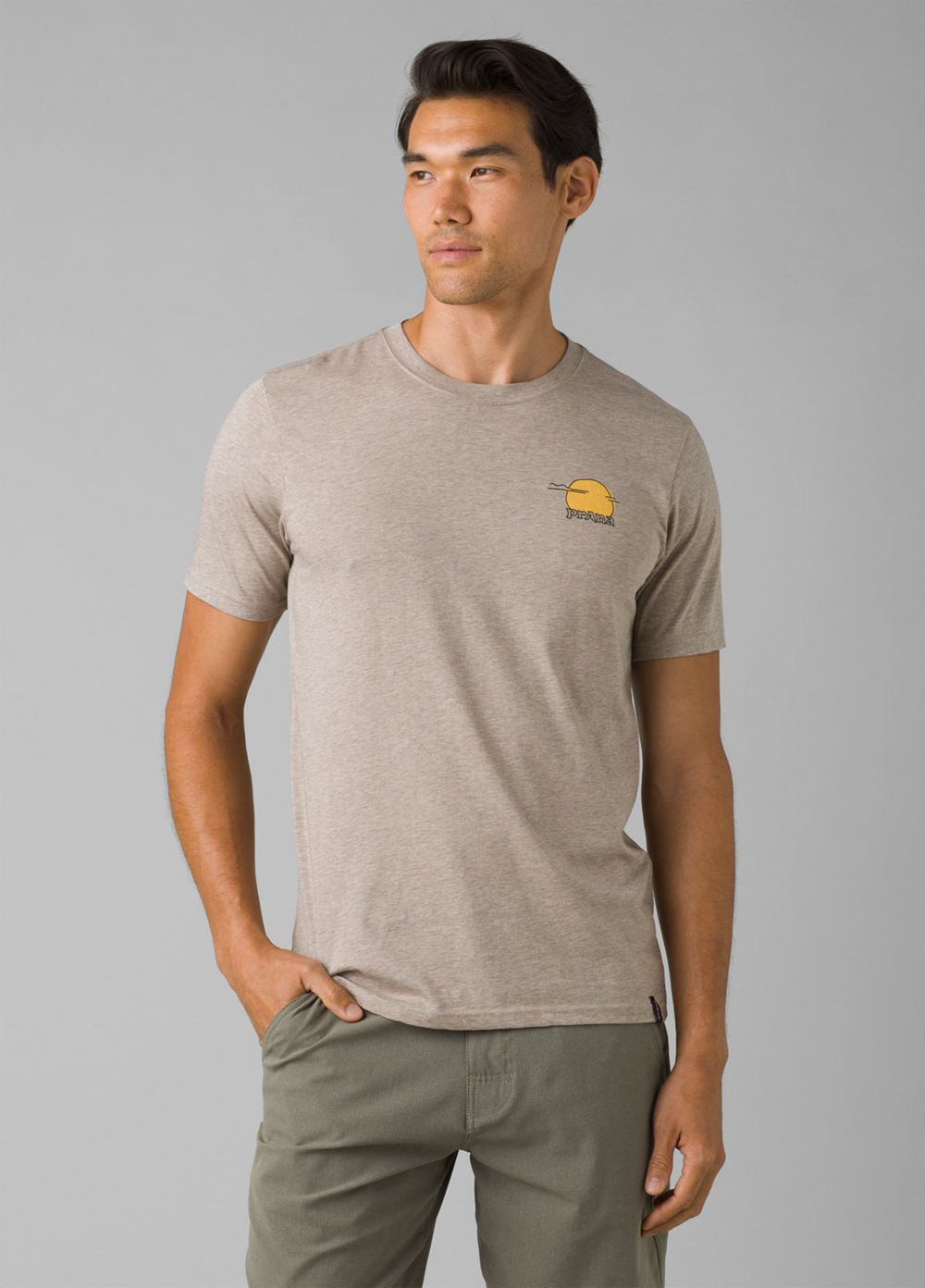 Beige Men's PrAna Wild Camp T-Shirts | LWVAFR374