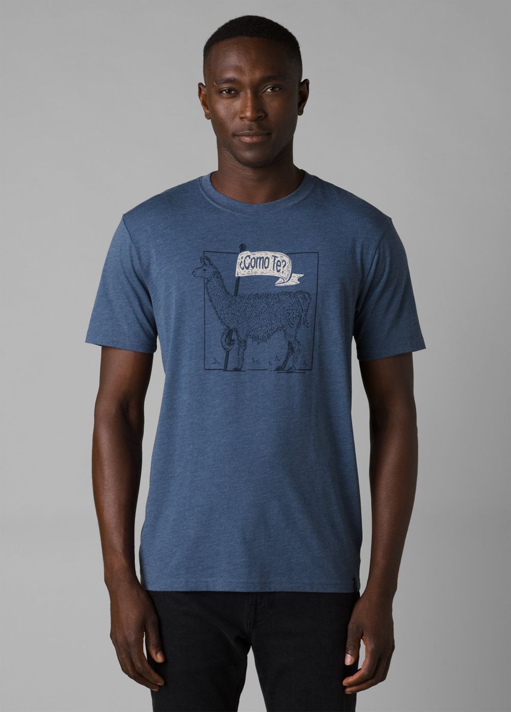 Blue Men's PrAna Como Te Llama Journeyman 2 T-Shirts | ZADPRS147