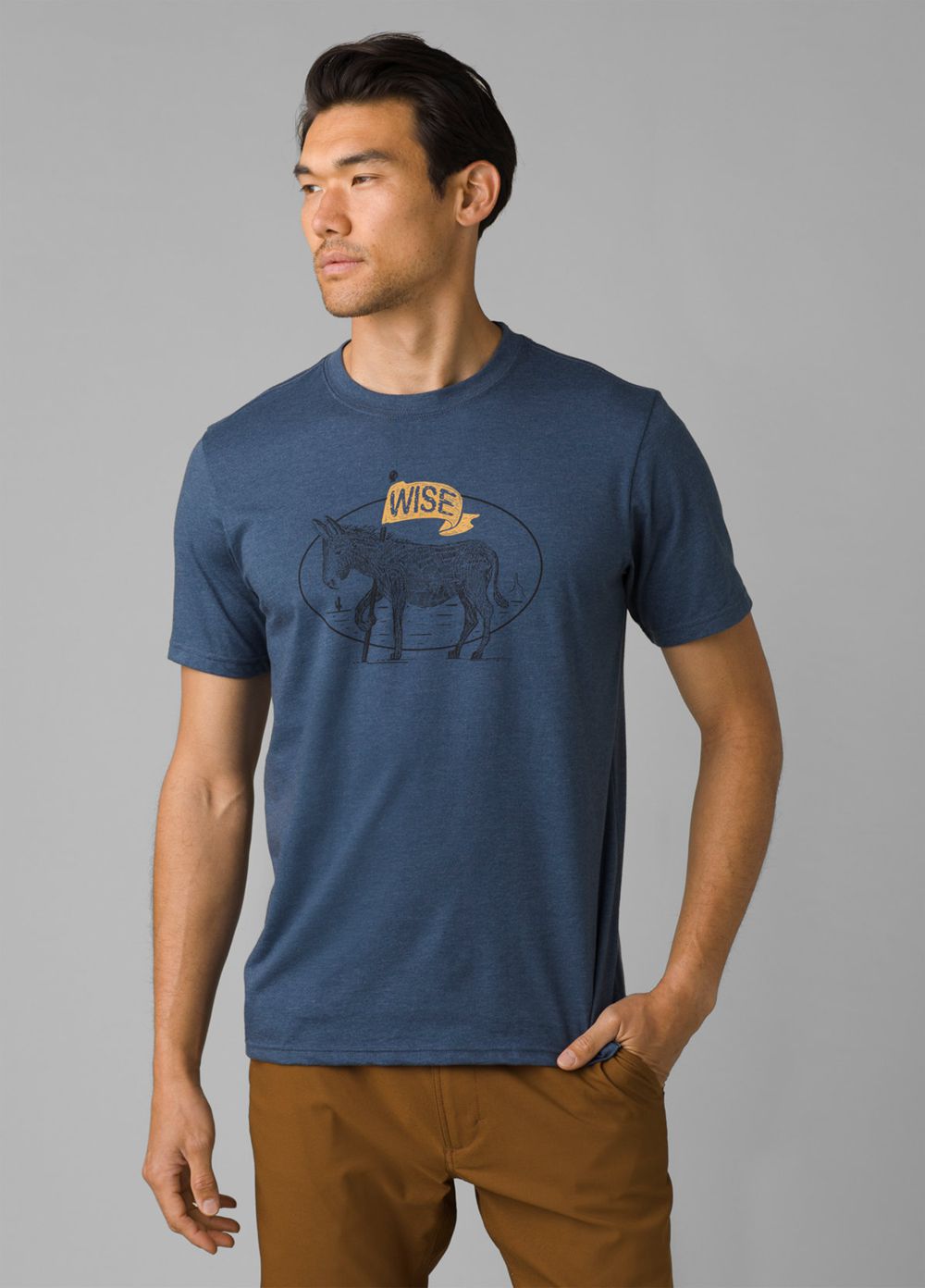 Blue Men's PrAna Wise Ass Journeyman 2 T-Shirts | RCUWPV738