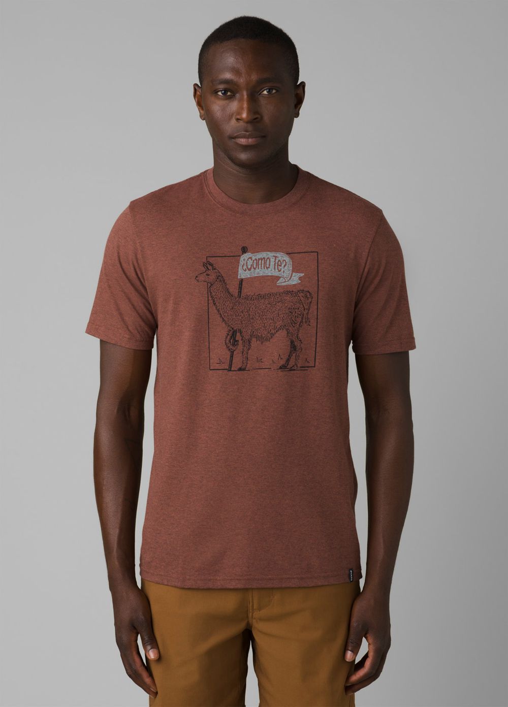 Brown Men's PrAna Como Te Llama Journeyman 2 T-Shirts | FBMKSA673