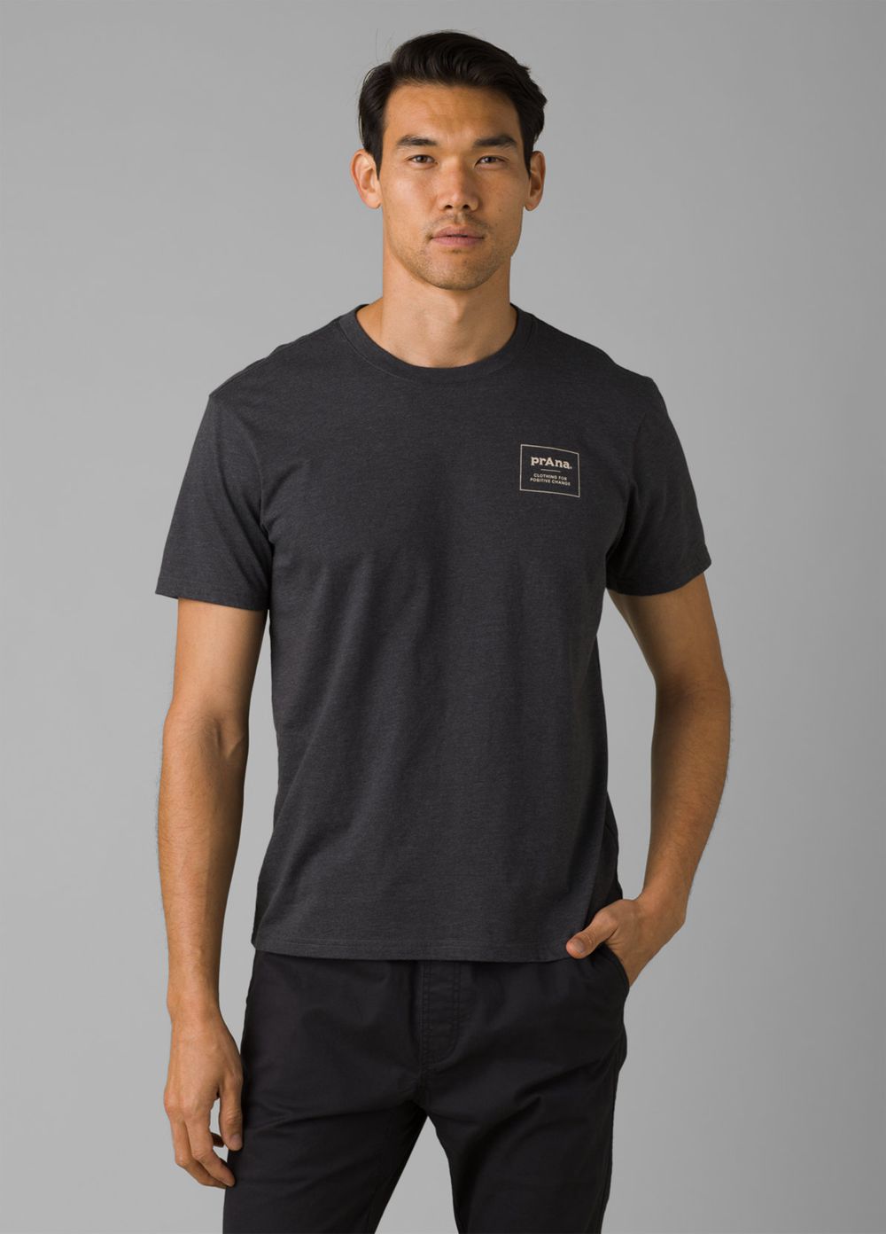 Grey Men's PrAna C4PC Short Sleeve Tee T-Shirts | JEYVNB148