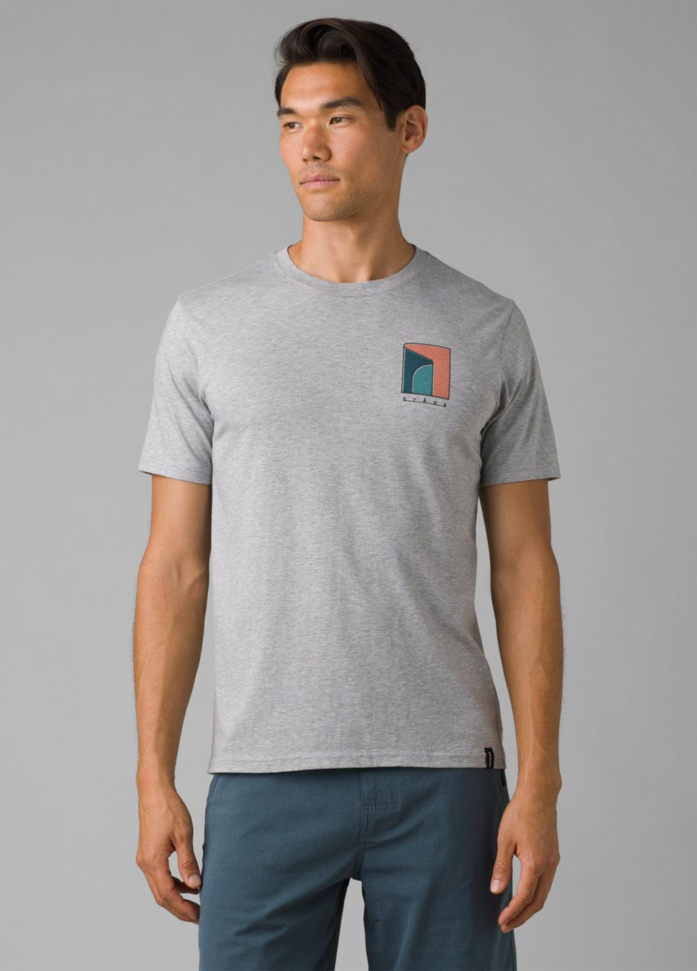 Grey Men's PrAna Torreys Peak T-Shirts | QTSCNL079