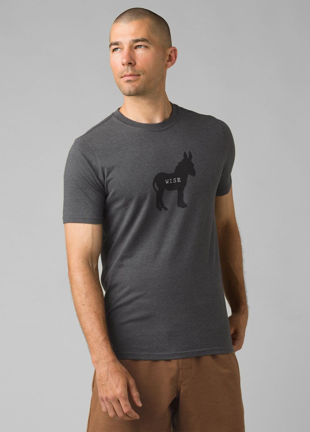 Grey Men's PrAna Wise Ass Journeyman T-Shirts | ZBGHDS914